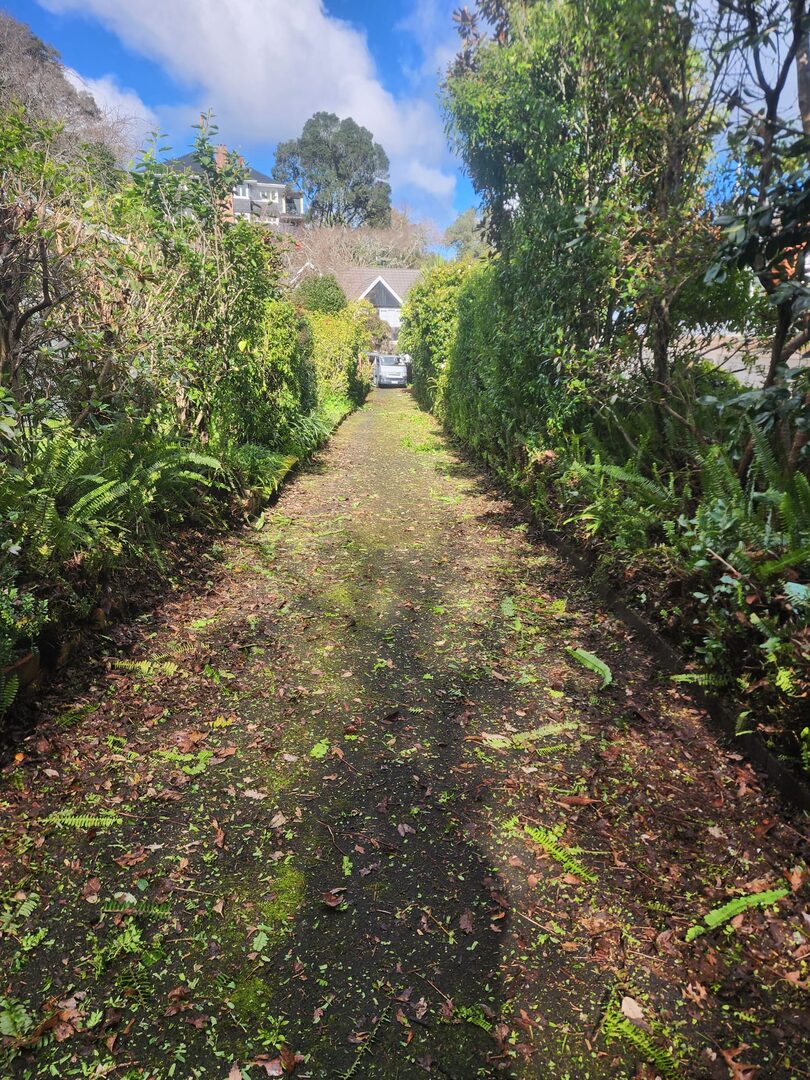 Garden path and assessment