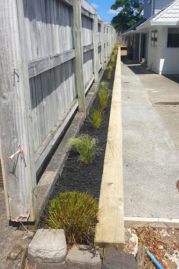 Planting and garden transformation