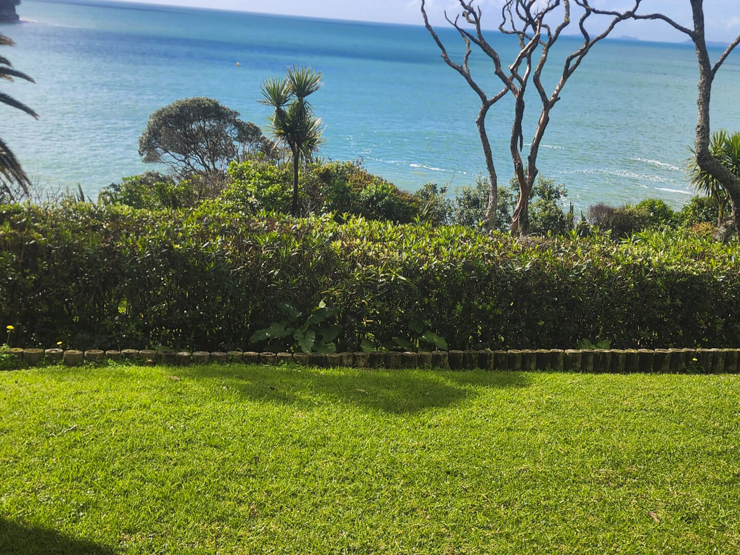 Beautifully landscaped Auckland garden